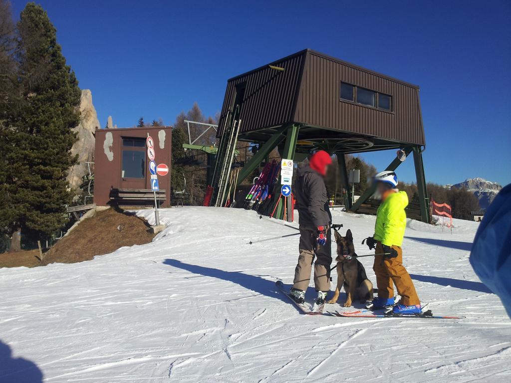 Hotel Millefiori Vigo di Fassa Eksteriør billede
